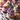 Vegan Lavender Lemonade Cupcakes with Edible Flowers
